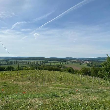 Présház a hegytetőn Pécsely Exterior foto