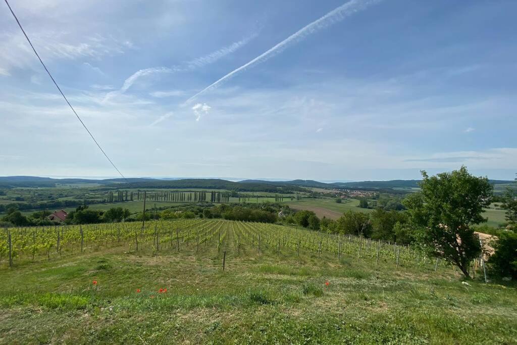 Présház a hegytetőn Pécsely Exterior foto